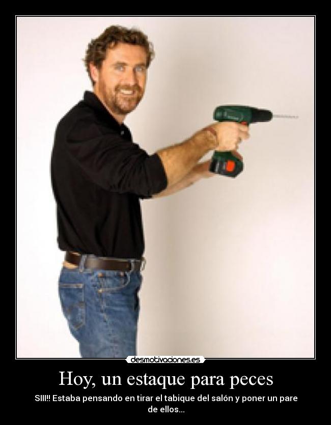 Hoy, un estaque para peces - SIII!! Estaba pensando en tirar el tabique del salón y poner un pare de ellos...