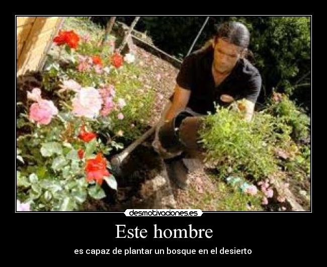 Este hombre - es capaz de plantar un bosque en el desierto