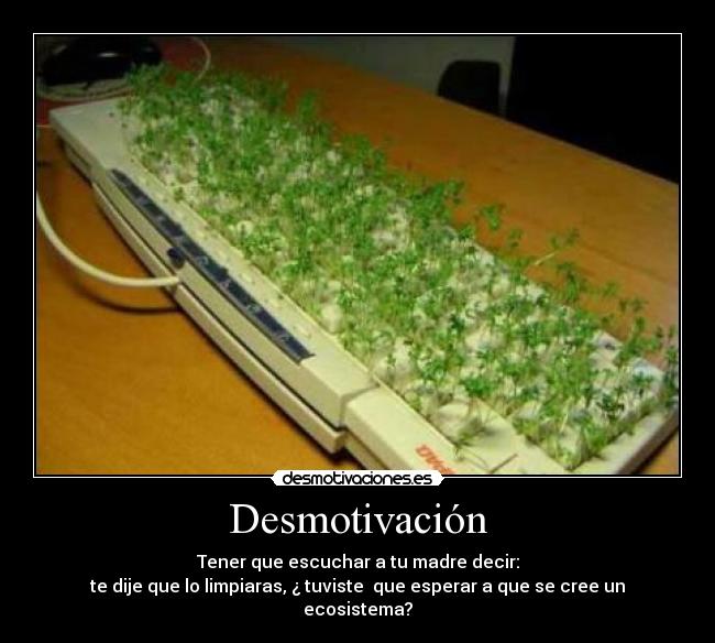 Desmotivación - Tener que escuchar a tu madre decir:
te dije que lo limpiaras, ¿ tuviste que esperar a que se cree un ecosistema?