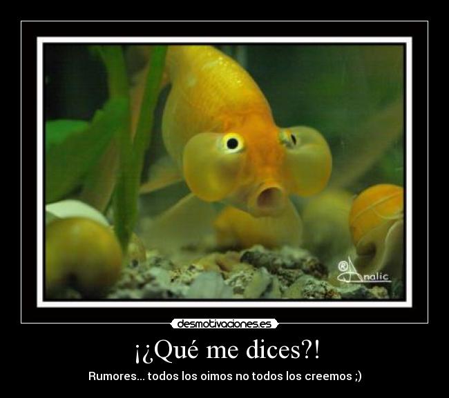 ¡¿Qué me dices?! - Rumores... todos los oimos no todos los creemos ;)