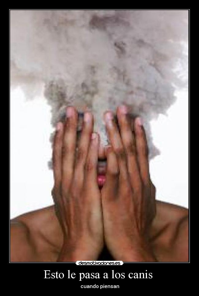 Esto le pasa a los canis - cuando piensan