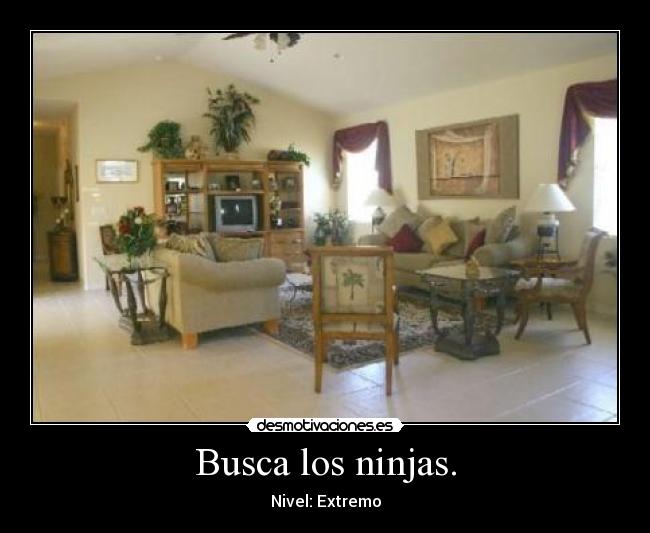 Busca los ninjas. -