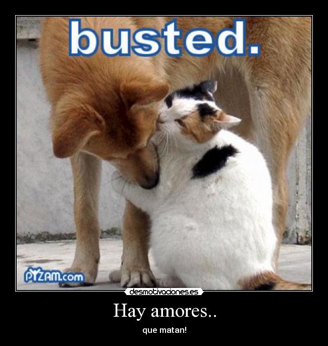 Hay amores.. -