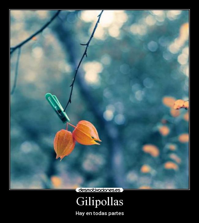 Gilipollas -