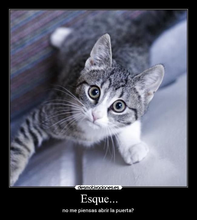 Esque... - no me piensas abrir la puerta? 