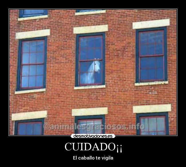 CUIDADO¡¡ - El caballo te vigila