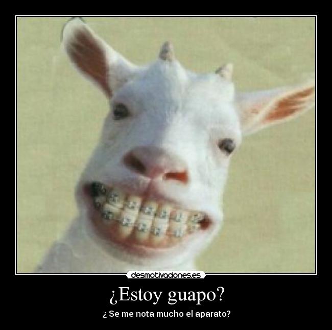 ¿Estoy guapo? - ¿ Se me nota mucho el aparato?