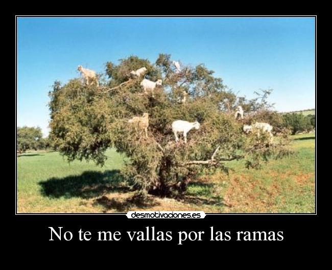 No te me vallas por las ramas -