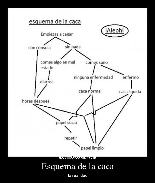 Esquema de la caca - la realidad