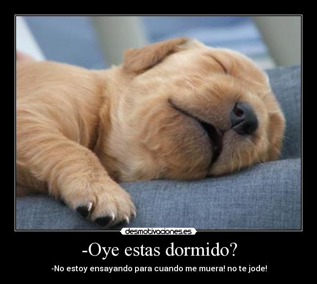 -Oye estas dormido? - 