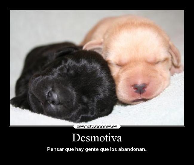 Desmotiva - 
