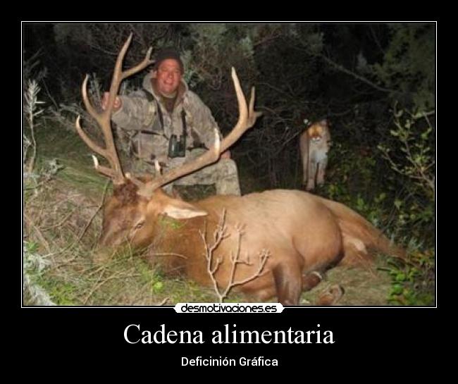 Cadena alimentaria - Deficinión Gráfica