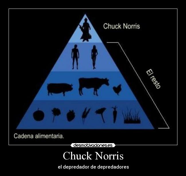 Chuck Norris - el depredador de depredadores