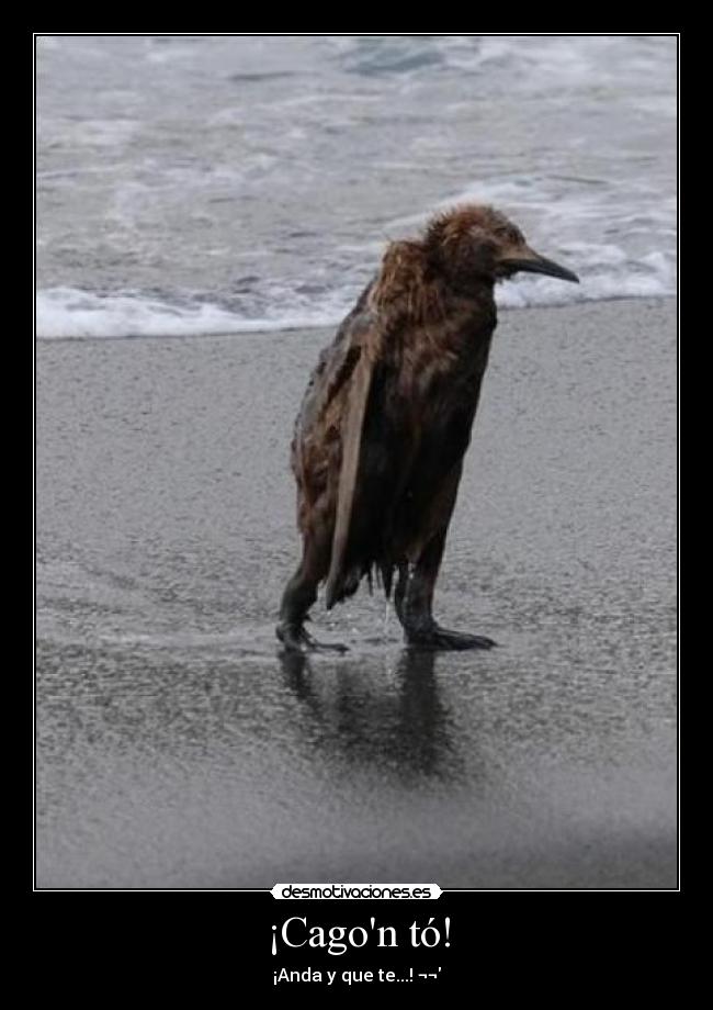 ¡Cagon tó! -