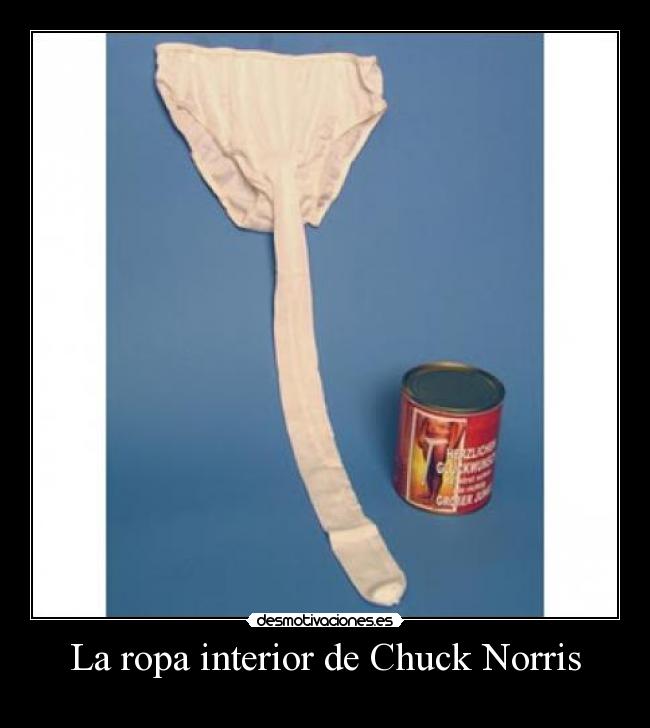 carteles chuck norris calzonzillos desmotivaciones