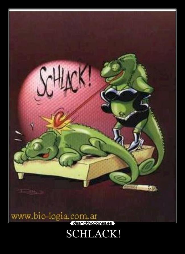 SCHLACK! -