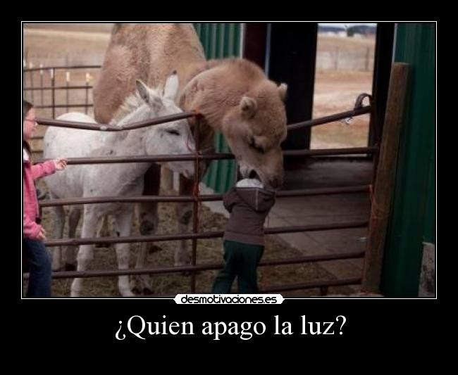 ¿Quien apago la luz? -  