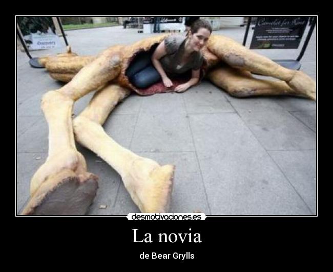 La novia - de Bear Grylls