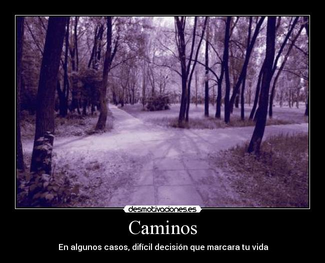Caminos - En algunos casos, difícil decisión que marcara tu vida