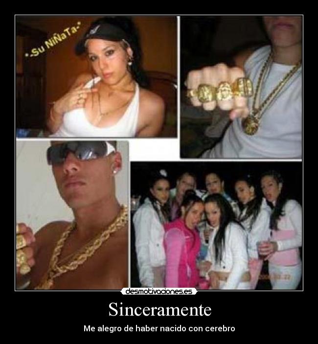 carteles canis desmotivaciones