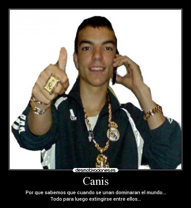 carteles canis desmotivaciones