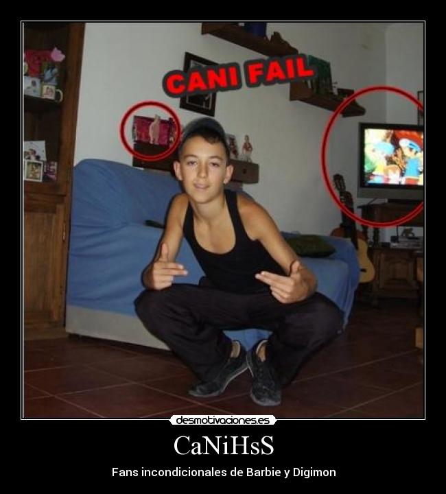 CaNiHsS - 