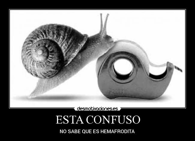 ESTA CONFUSO -