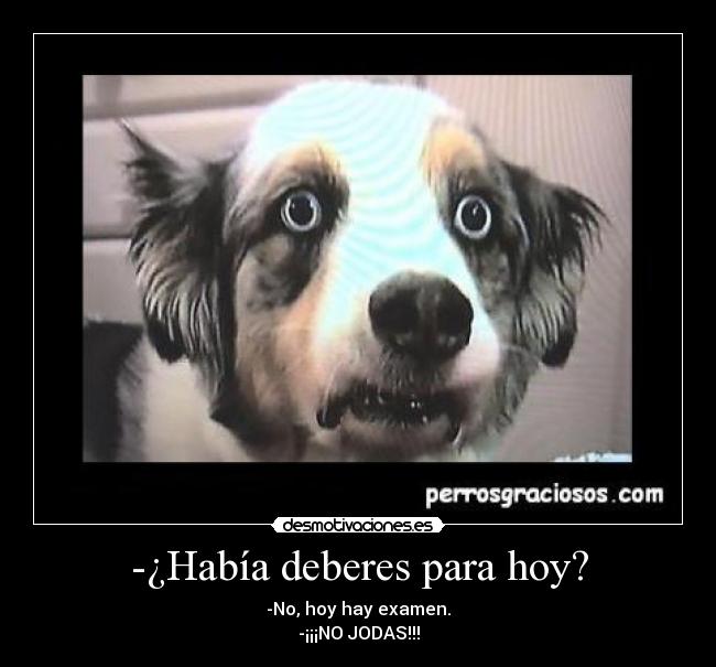 -¿Había deberes para hoy? - -No, hoy hay examen.
-¡¡¡NO JODAS!!!