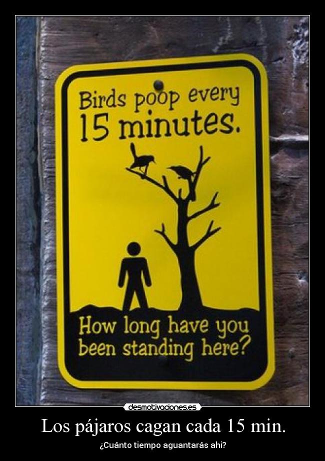 carteles kagenoryu desmotivaciones