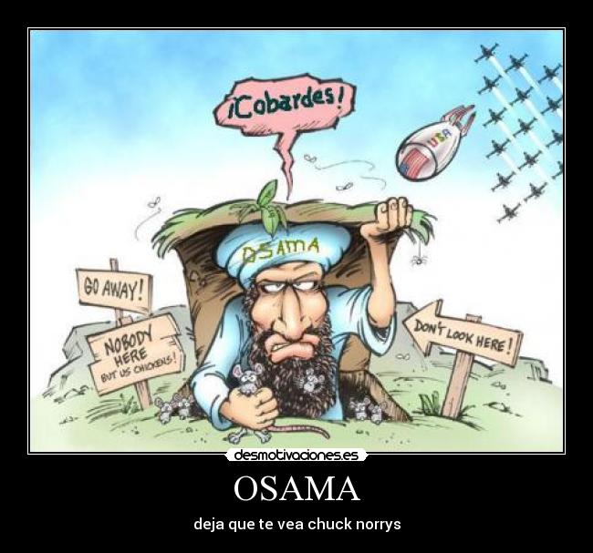 OSAMA - deja que te vea chuck norrys
