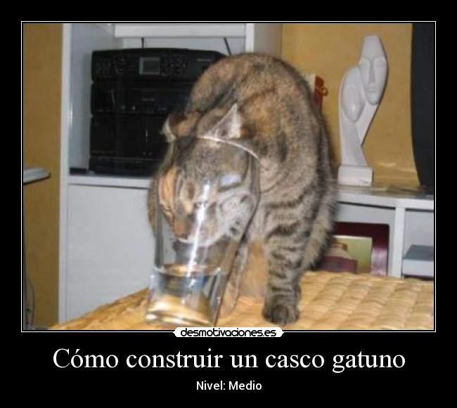 Cómo construir un casco gatuno -