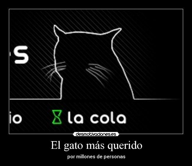 El gato más querido - 