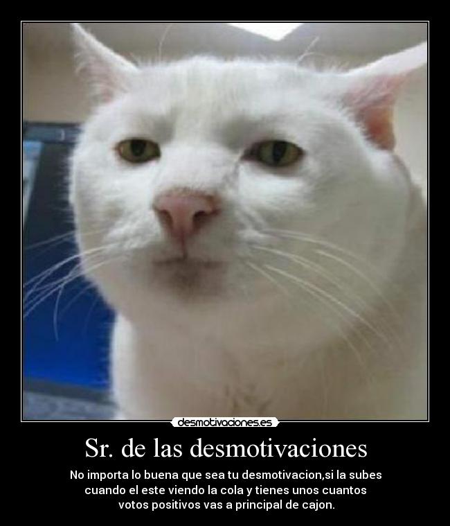 Sr. de las desmotivaciones - No importa lo buena que sea tu desmotivacion,si la subes
cuando el este viendo la cola y tienes unos cuantos
votos positivos vas a principal de cajon.