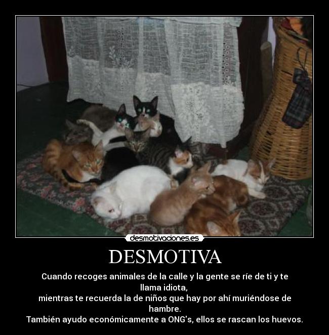 carteles desmotiva animales ayuda gentuza desmotivaciones