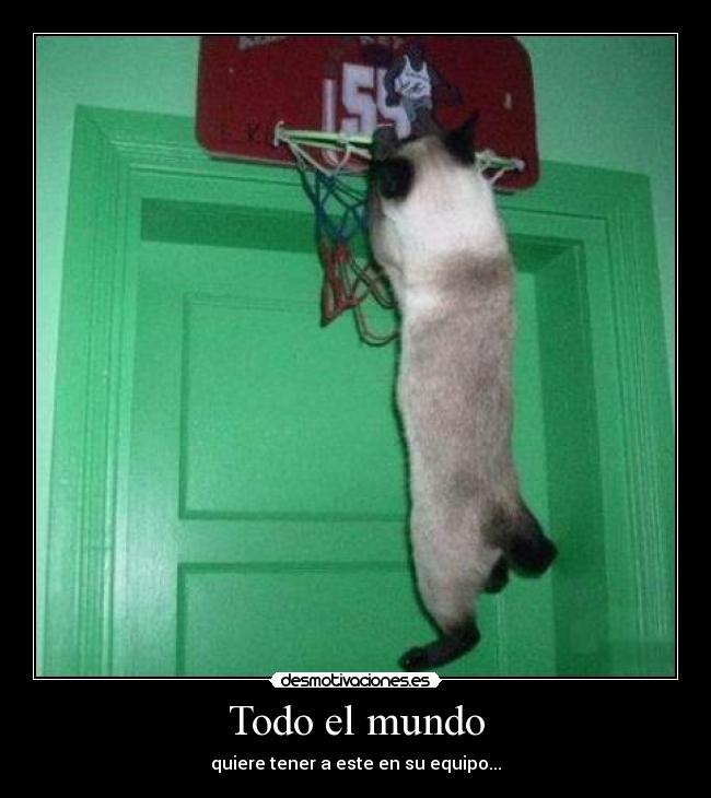 Todo el mundo - quiere tener a este en su equipo...