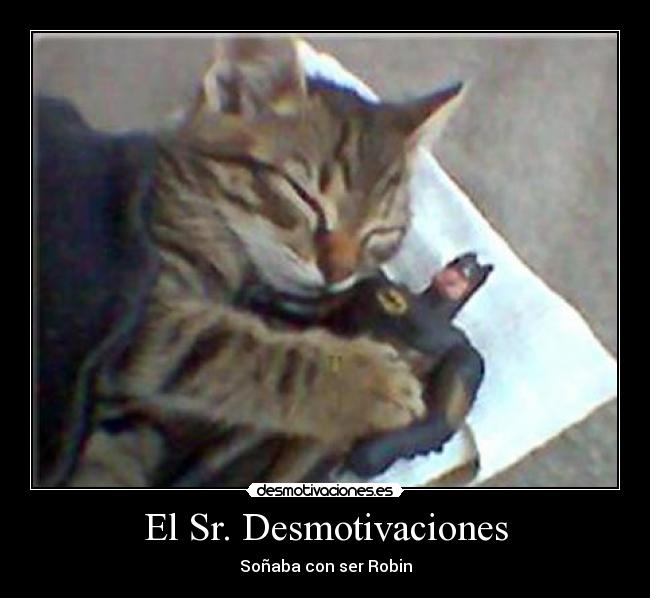 El Sr. Desmotivaciones -