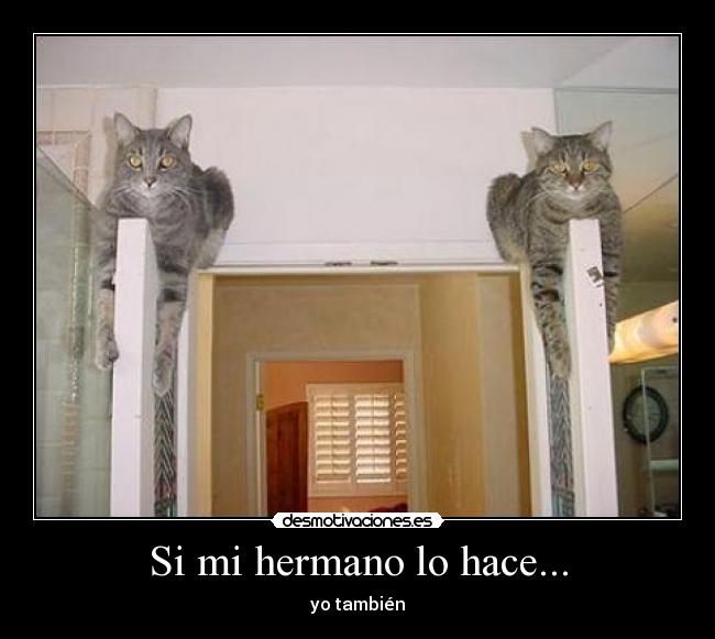 Si mi hermano lo hace... - yo también