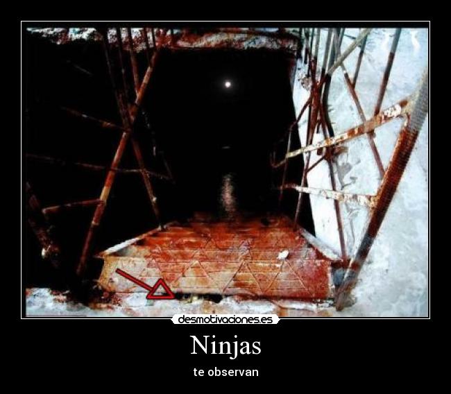 Ninjas - 
