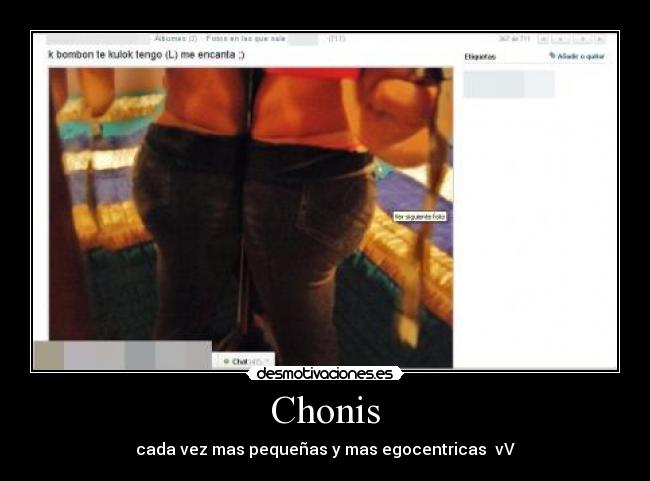 carteles chonis desmotivaciones