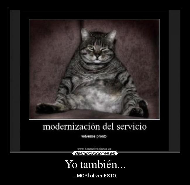 Yo también... - ...MORÍ al ver ESTO.