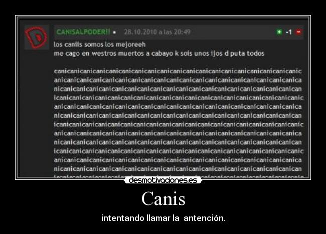 Canis - intentando llamar la antención.