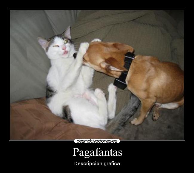 Pagafantas - Descripción gráfica