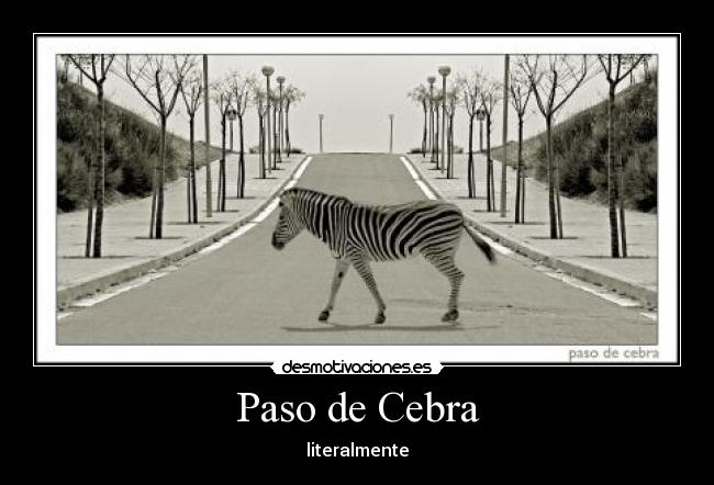 Paso de Cebra -