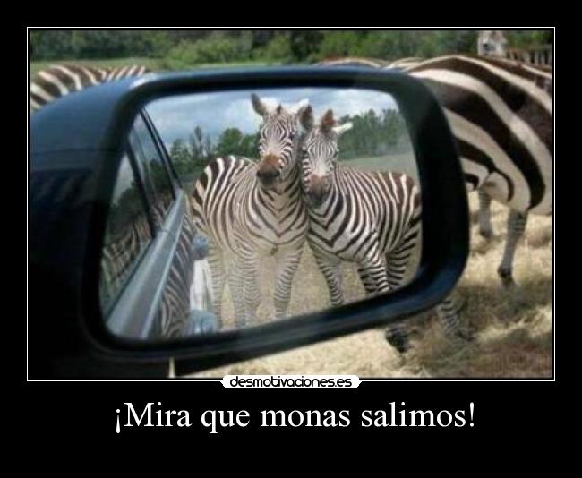 ¡Mira que monas salimos! - 