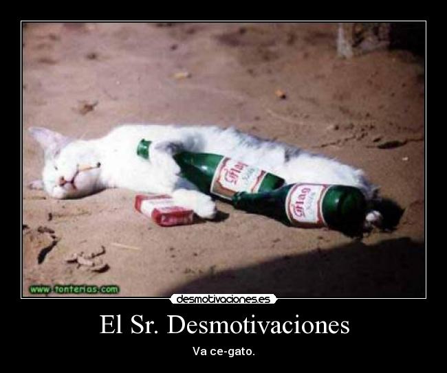 El Sr. Desmotivaciones - Va ce-gato.