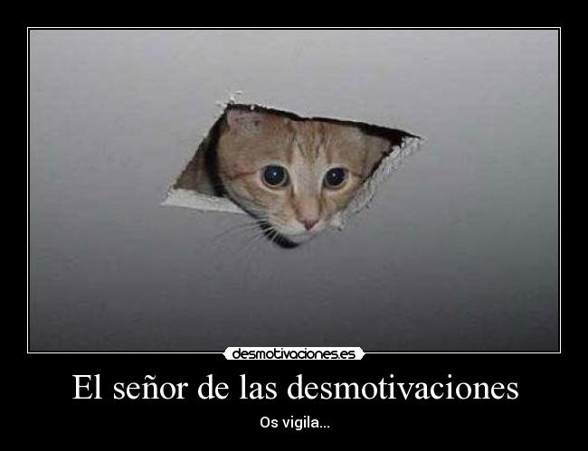El señor de las desmotivaciones -