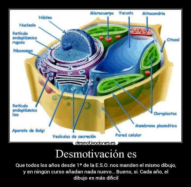 Desmotivación es - Que todos los años desde 1º de la E.S.O. nos manden el mismo dibujo,
y en ningún curso añadan nada nuevo... Bueno, si. Cada año, el
dibujo es más dificil