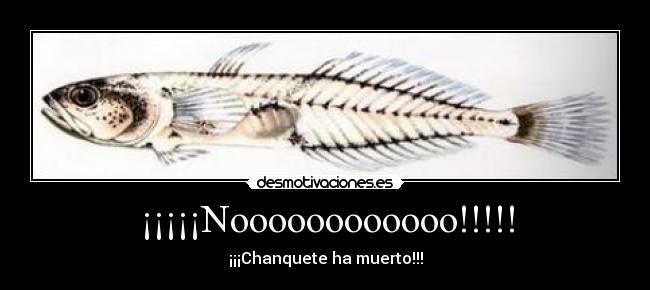 ¡¡¡¡¡Noooooooooooo!!!!! -