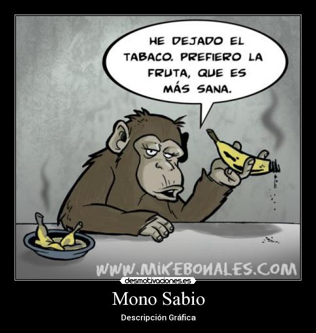 Mono Sabio - Descripción Gráfica