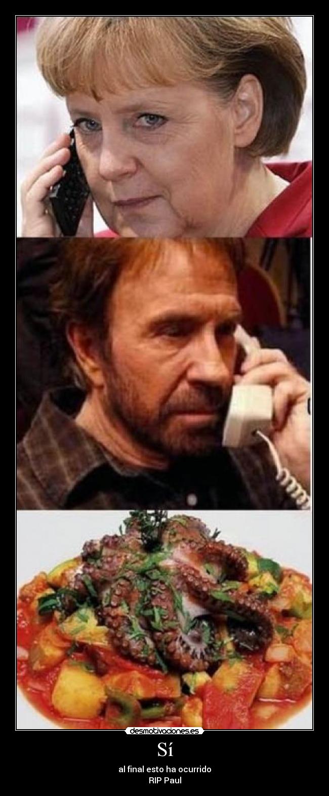 carteles davidrsd06 chuck merkel pulpo paul dep muerte verdad desmotivaciones
